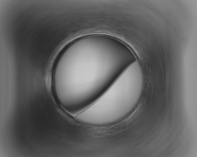 X0000102871511200808181035