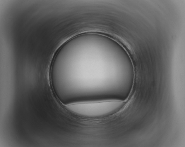 X0000102871513200808181035