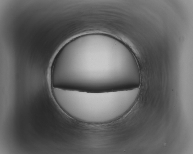 X0000102871516200808181035