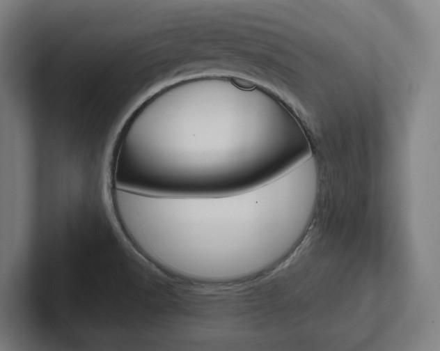 X0000102871518200808181035