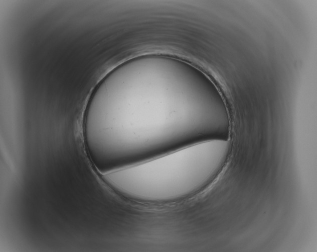 X0000102871521200808181035