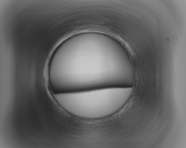 X0000102871522200808181035