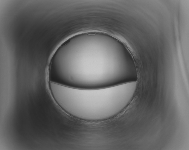 X0000102871524200808181035