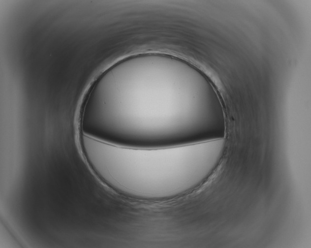 X0000102871525200808181035