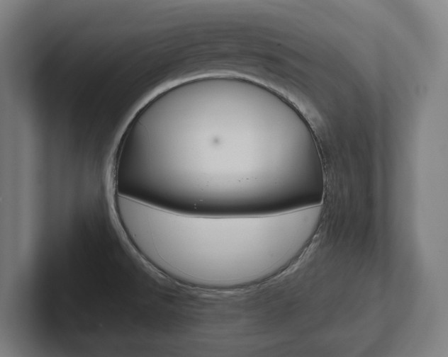 X0000102871526200808181035
