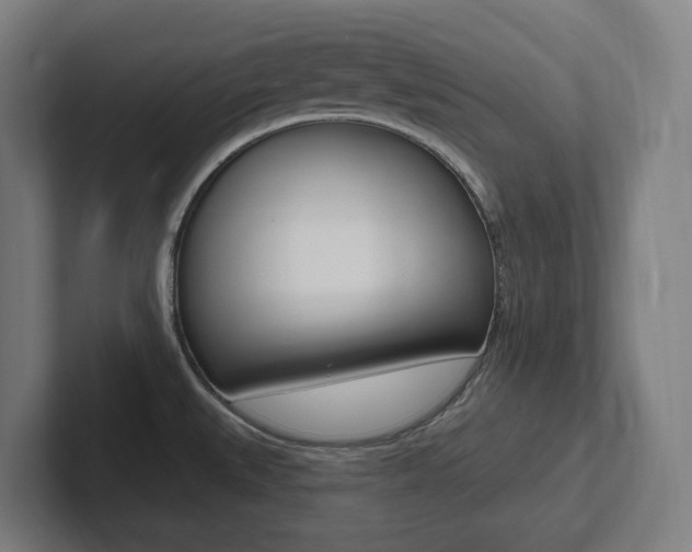 X0000102871527200808181035