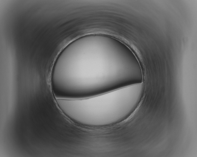 X0000102871529200808181035