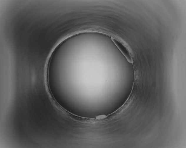 X0000102871530200808181035