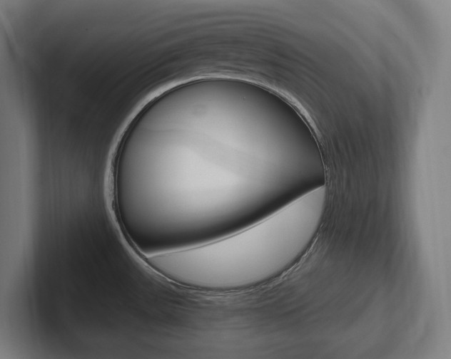 X0000102871531200808181035