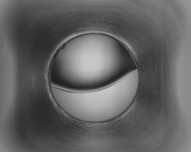 X0000102871534200808181035