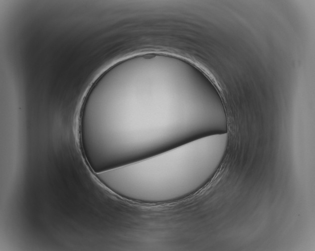 X0000102871535200808181035