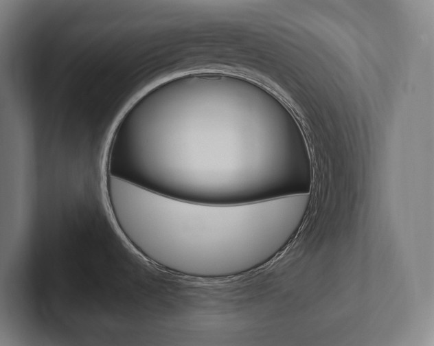 X0000102871536200808181035