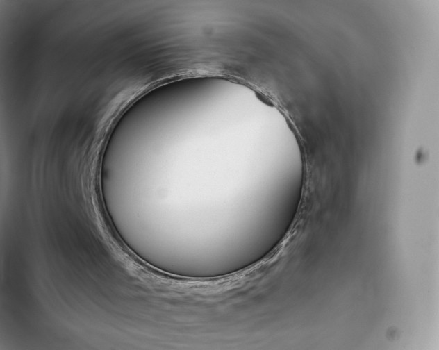 X0000102870001200808181517