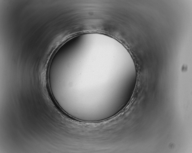 X0000102870002200808181517