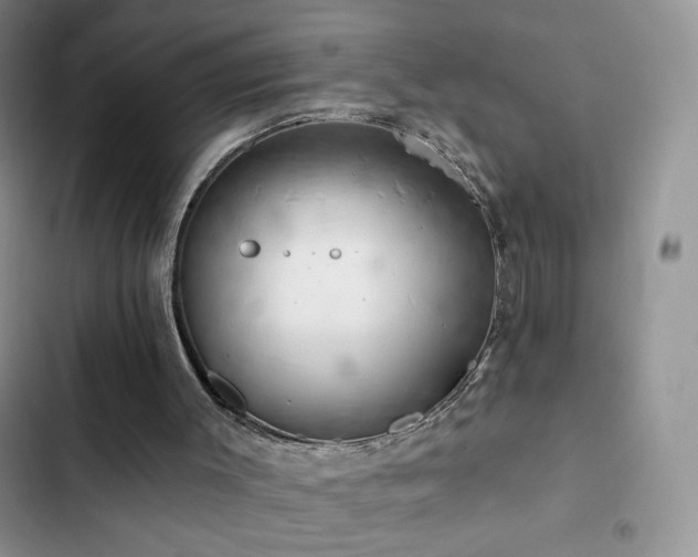 X0000102870003200808181517