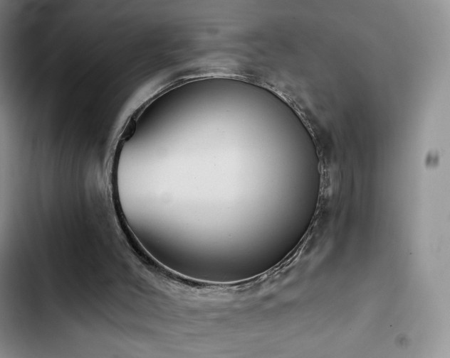 X0000102870004200808181517