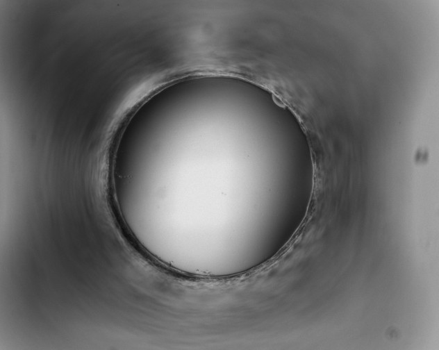 X0000102870005200808181517