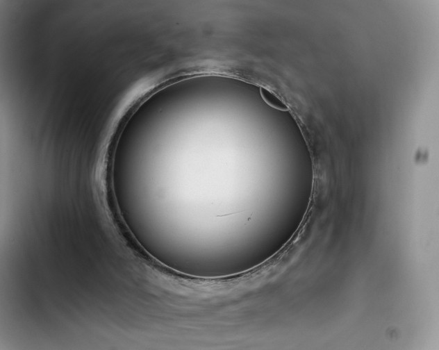 X0000102870006200808181517