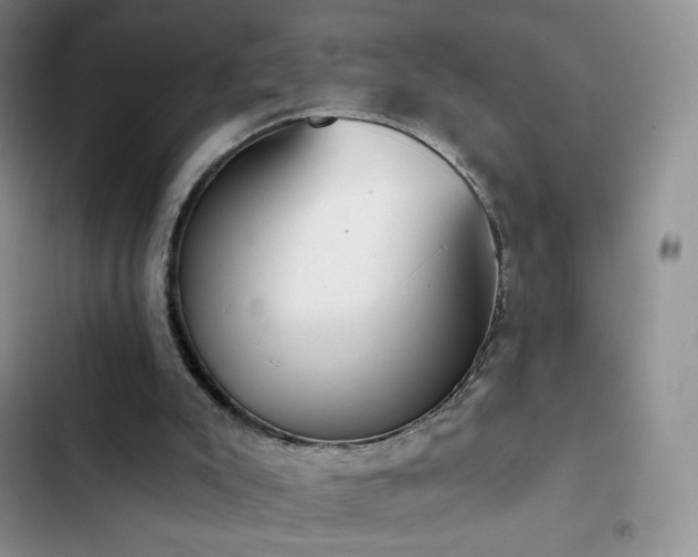 X0000102870007200808181517