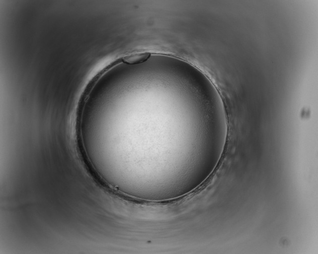 X0000102870008200808181517