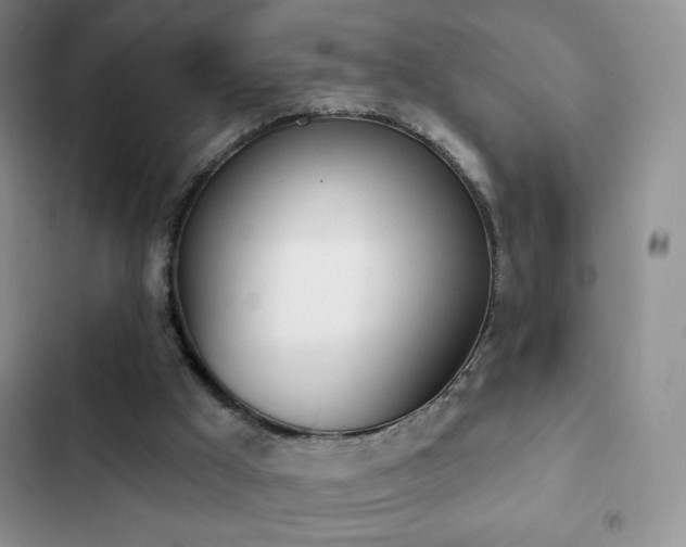 X0000102870009200808181517
