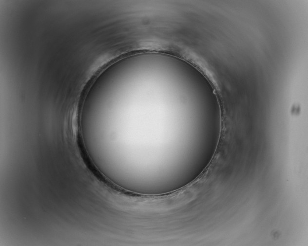 X0000102870011200808181517