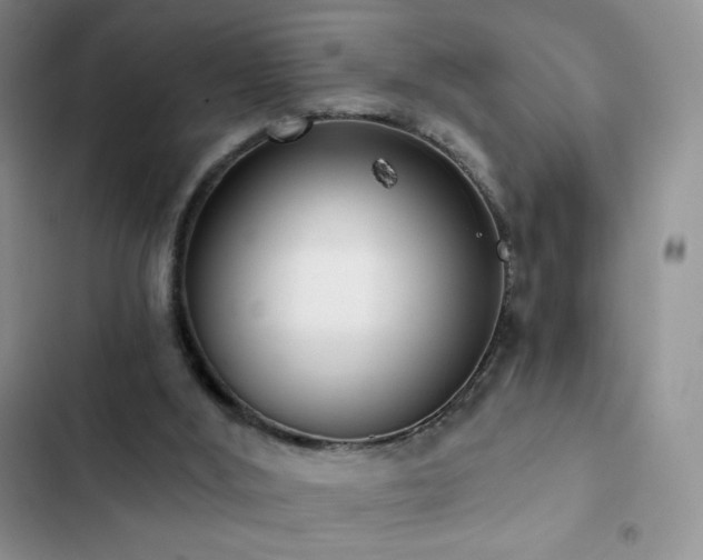 X0000102870012200808181517