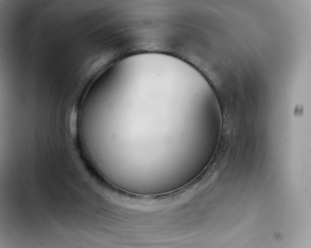 X0000102870014200808181517