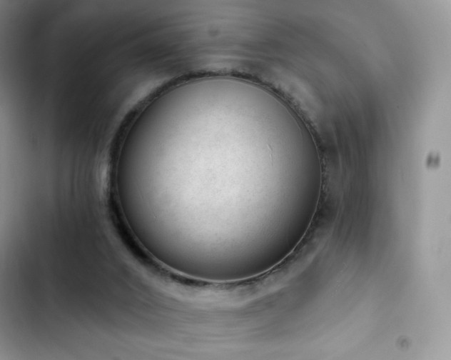 X0000102870016200808181516