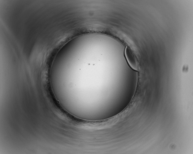 X0000102870017200808181516