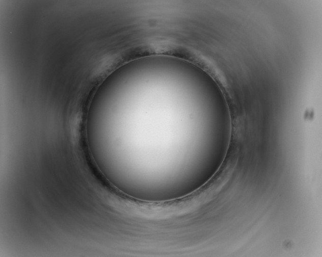 X0000102870018200808181516
