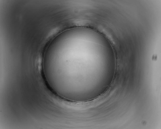 X0000102870019200808181516
