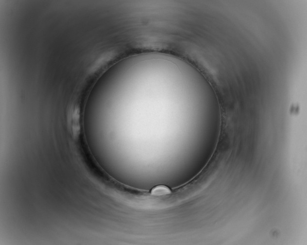 X0000102870020200808181516