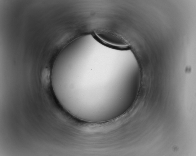 X0000102870021200808181516