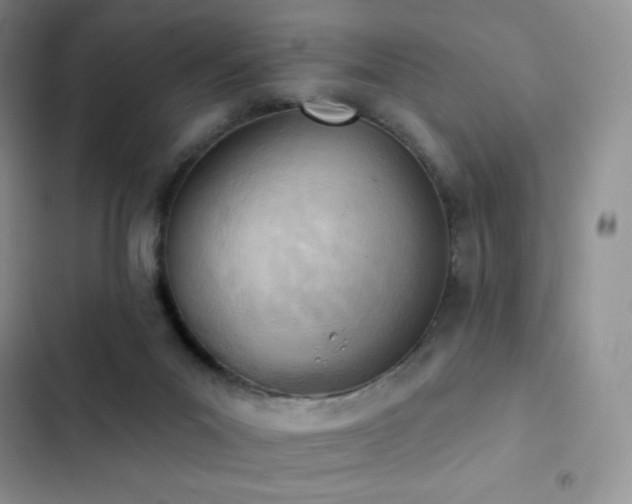 X0000102870023200808181516