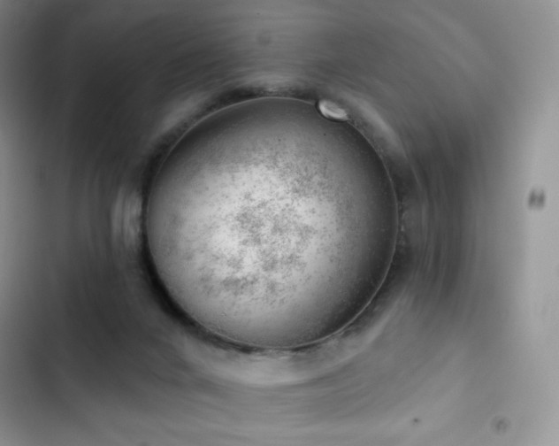 X0000102870024200808181516