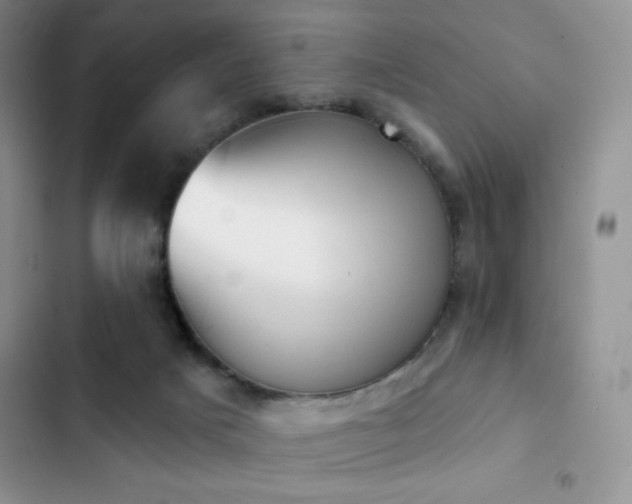 X0000102870025200808181516