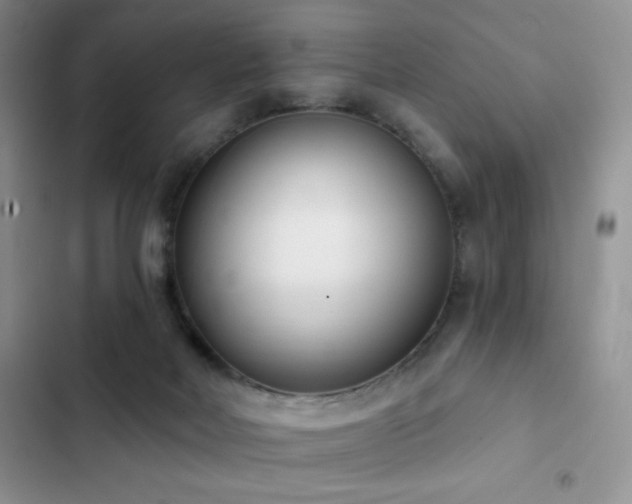 X0000102870026200808181516
