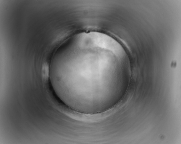 X0000102870027200808181516