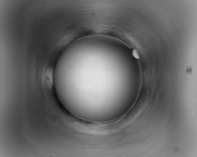 X0000102870028200808181516