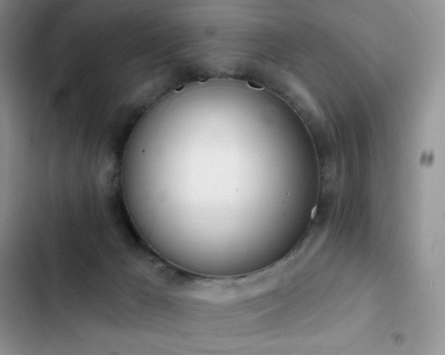 X0000102870029200808181516