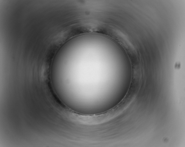 X0000102870030200808181516