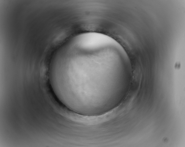 X0000102870031200808181516
