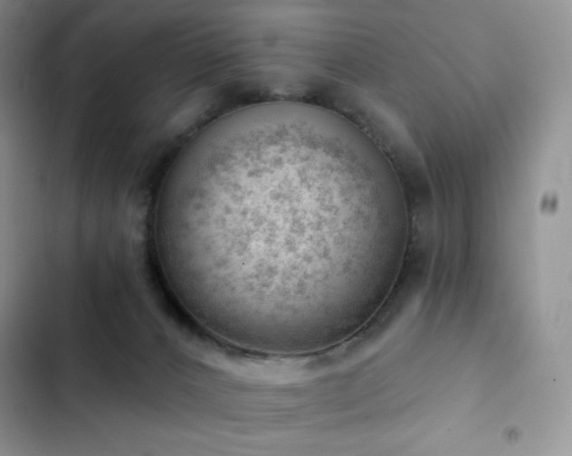 X0000102870032200808181516