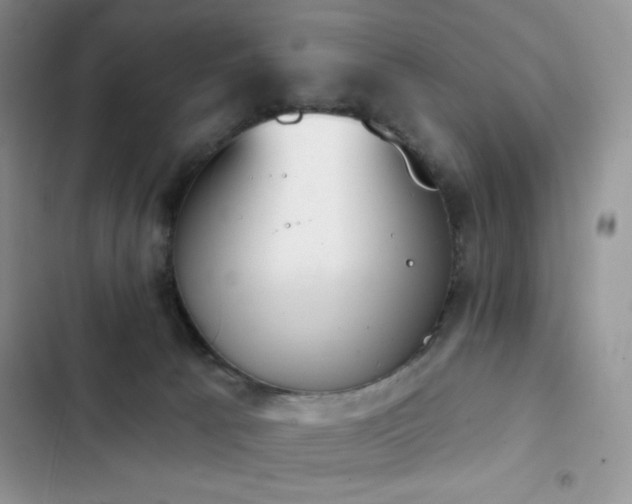 X0000102870033200808181516