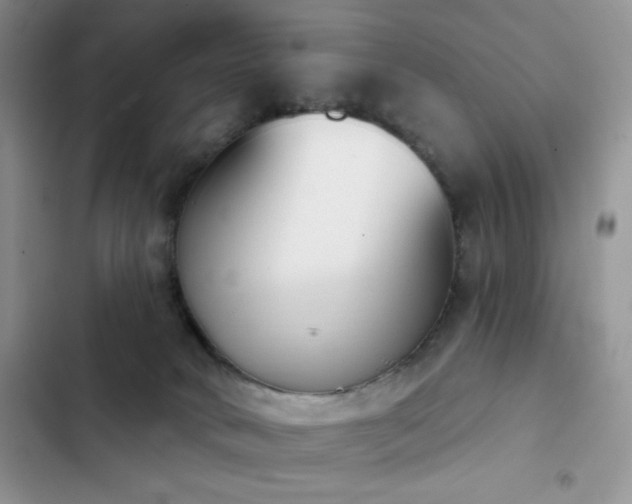 X0000102870034200808181516