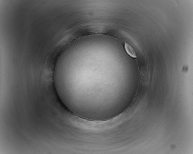 X0000102870035200808181516