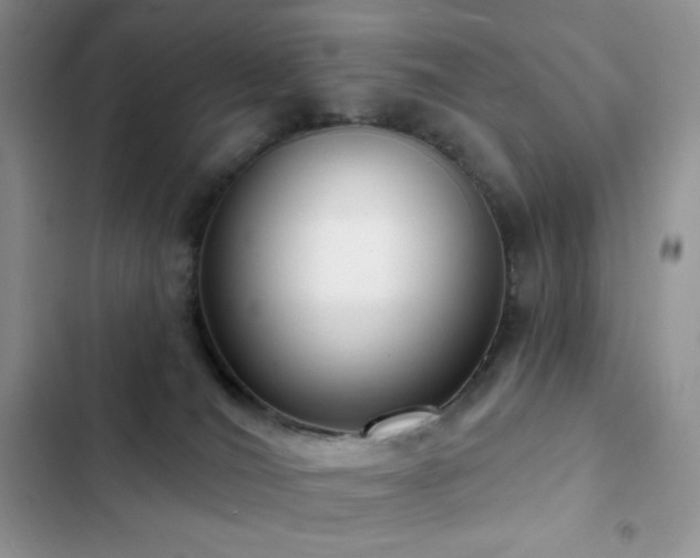 X0000102870036200808181516