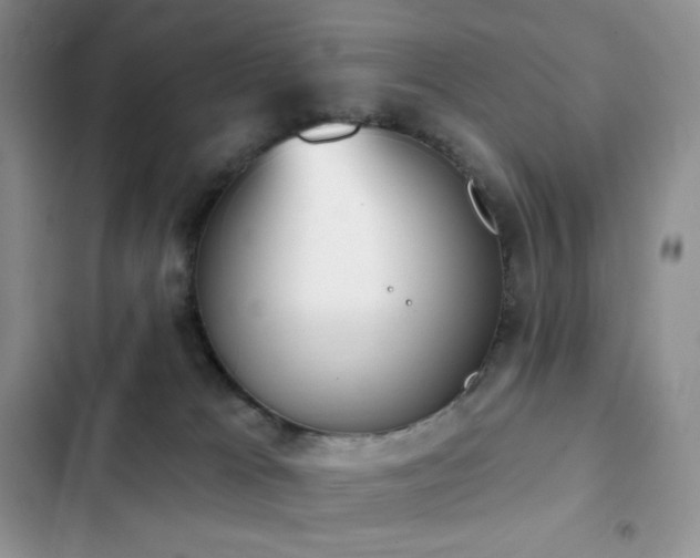X0000102870037200808181516