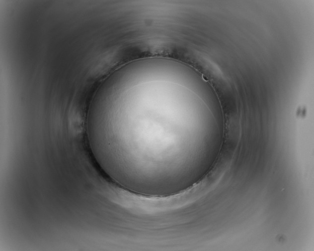 X0000102870039200808181516
